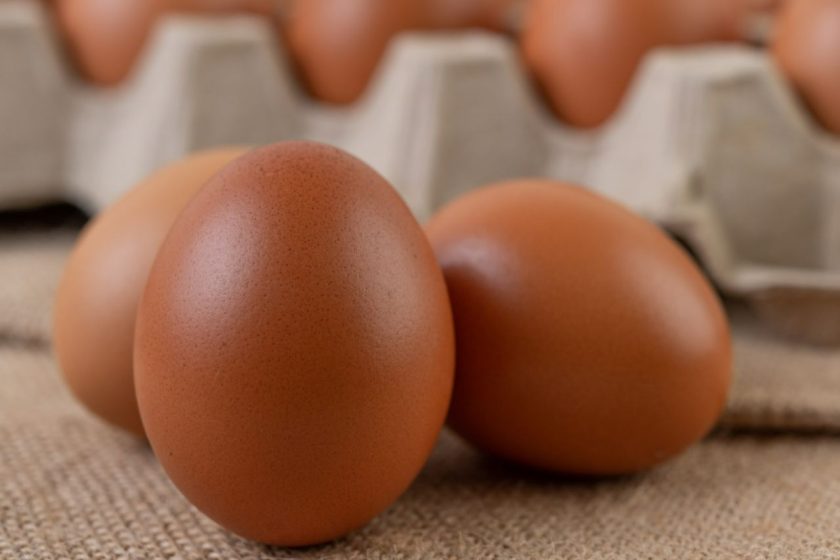 Colombia certifica su primera granja de gallinas ponedoras en bienestar animal