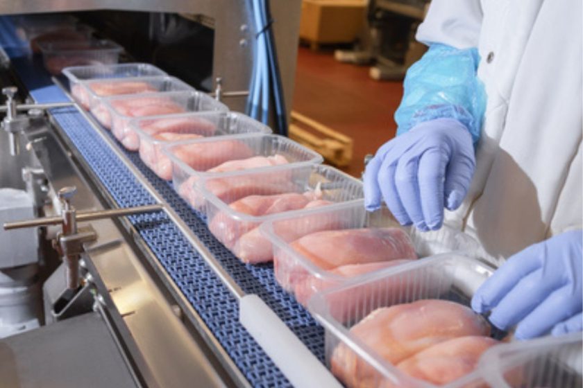 Uruguay: Intereses comerciales en debate por el precio del pollo