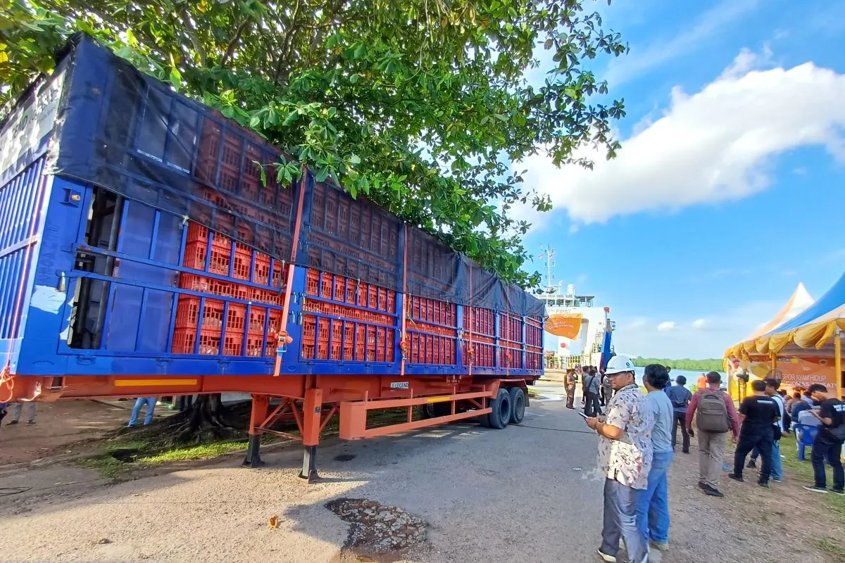 Japfa ships 28,500 live chickens to Singapore from Bintan