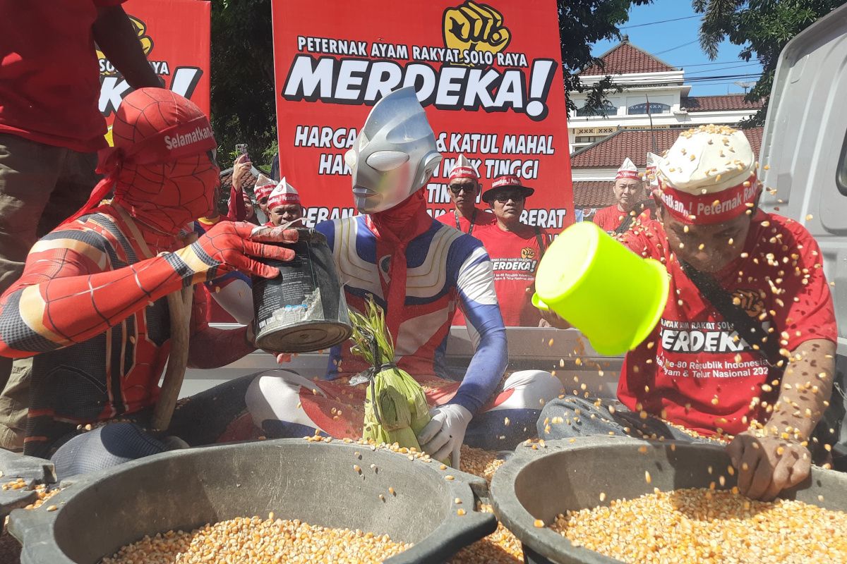 Peternak Solo Raya gelar aksi mandi jagung