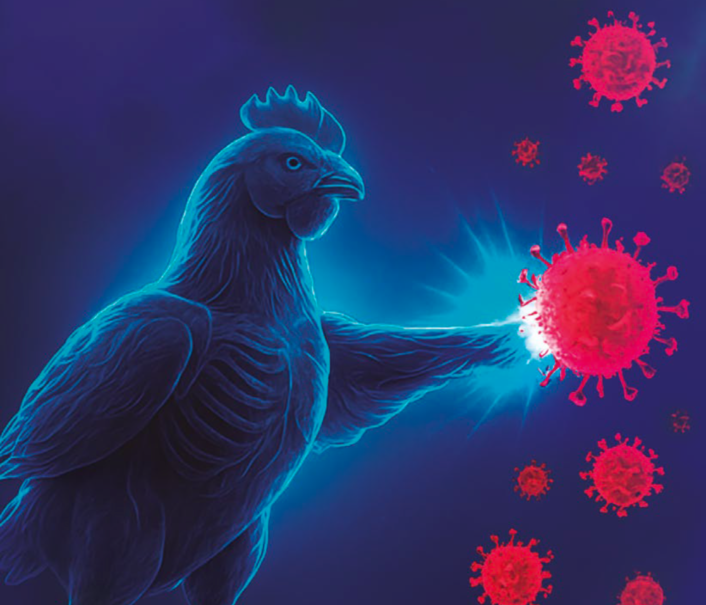 Reforzando el sistema inmune de nuestras aves