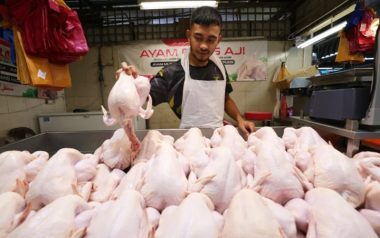 Malaysia keeps chicken prices steady after subsidy removal