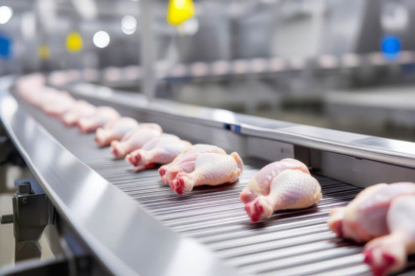 Reactivación en marcha: Perú vuelve a exportar carne aviar tras recuperar su estatus sanitario