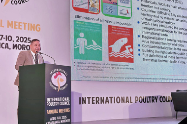 Vaksindo highlights global call for unified action against avian influenza