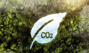 Sustainability 