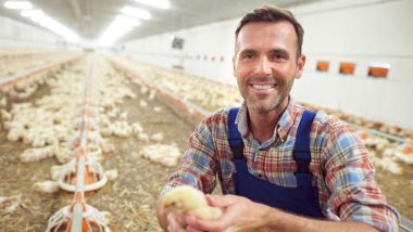 Poultry 