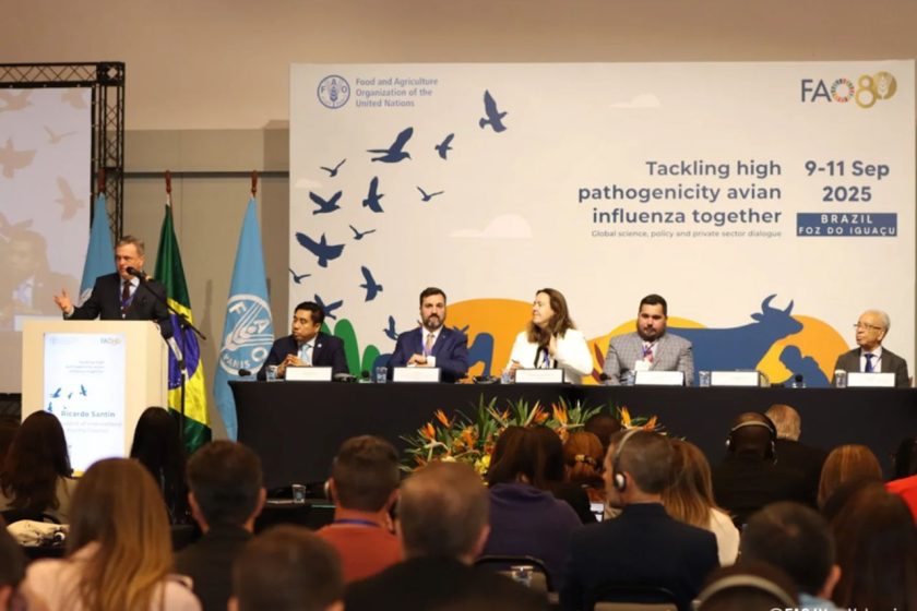 De muestras de aire a modelado de riesgo: Expertos presentan nuevas estrategias para la detección precoz de la influenza aviar