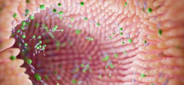 Antibiotic Growth Promoters