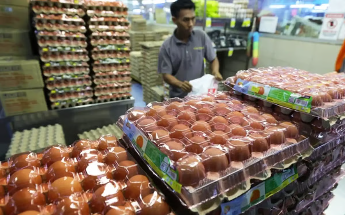 Malaysia’s egg prices rise after subsidy removal