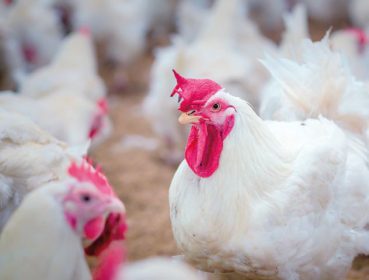 Biosecurity