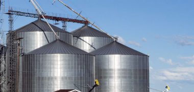 Feed formulation