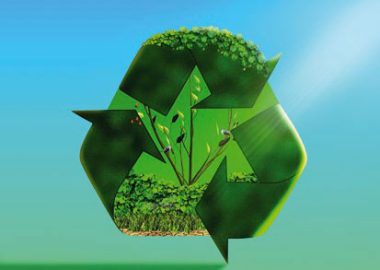 Sustainability 