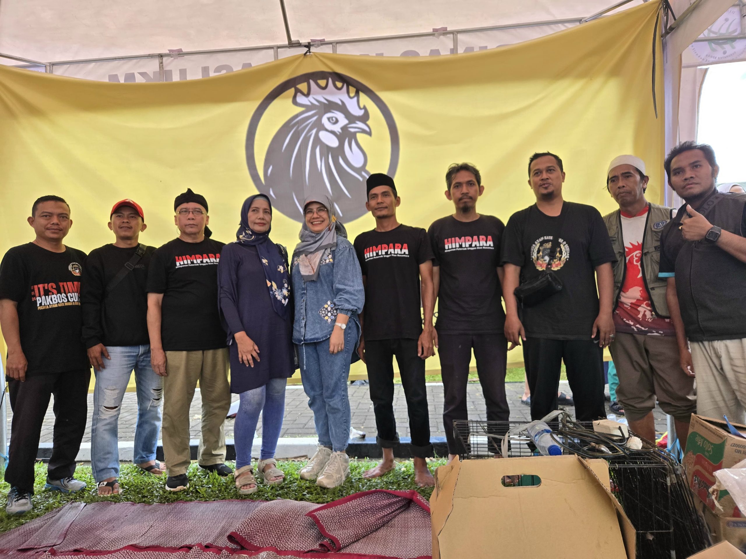 Standarisasi katuranggan ayam Cemani dan Kate untuk kontes nasional