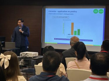 A holistic approach to gut health and immunity in poultry