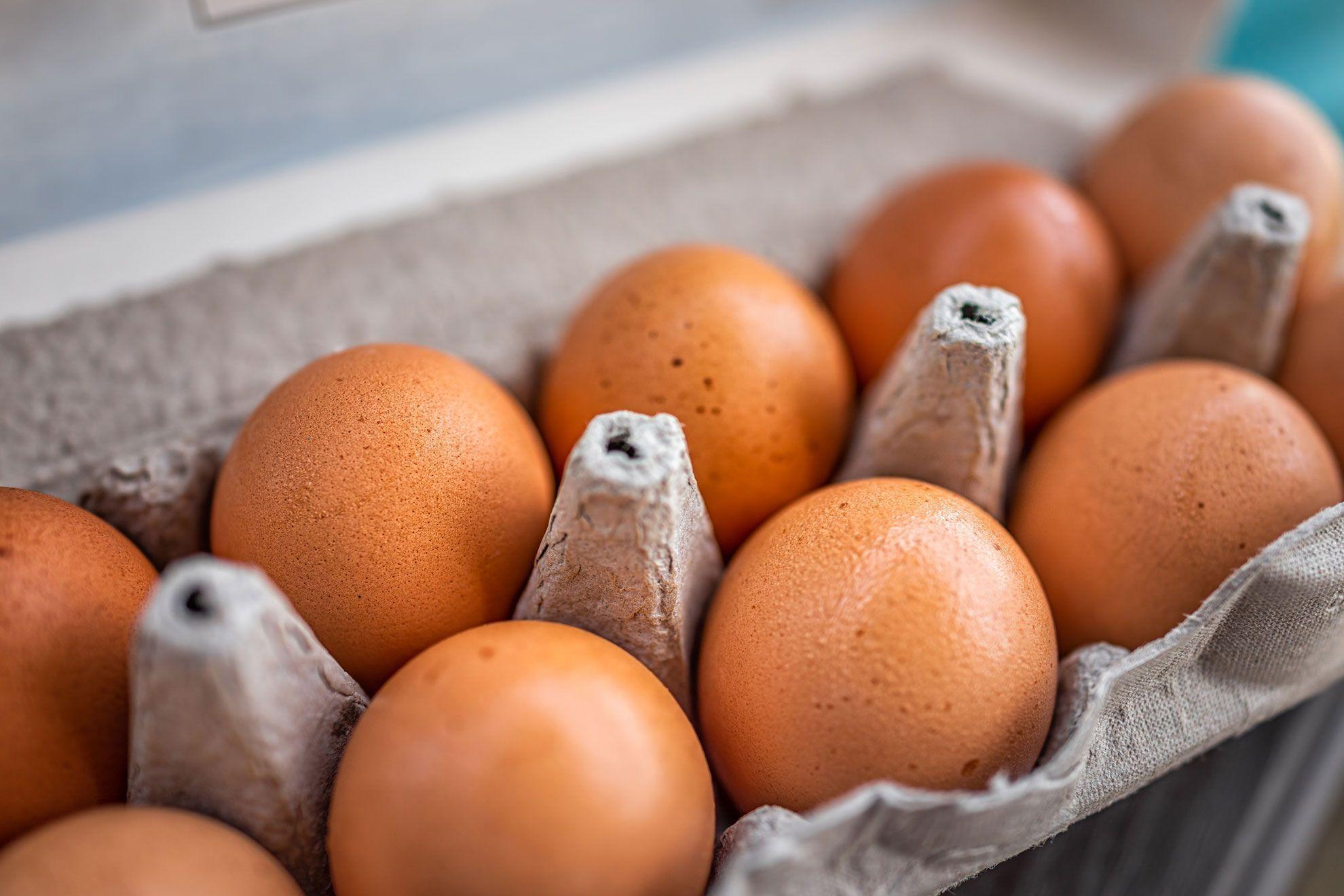 CFARM invests USD 3.75m in egg venture to stabilize revenue
