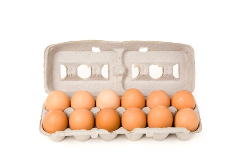 EEUU Huevos Infectados con Salmonella