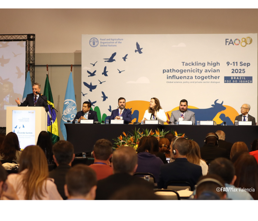 A FAO anunciou, na abertura do Fórum Internacional sobre Influenza Aviária, o credenciamento, do LFDA-Campinas como centro de r...