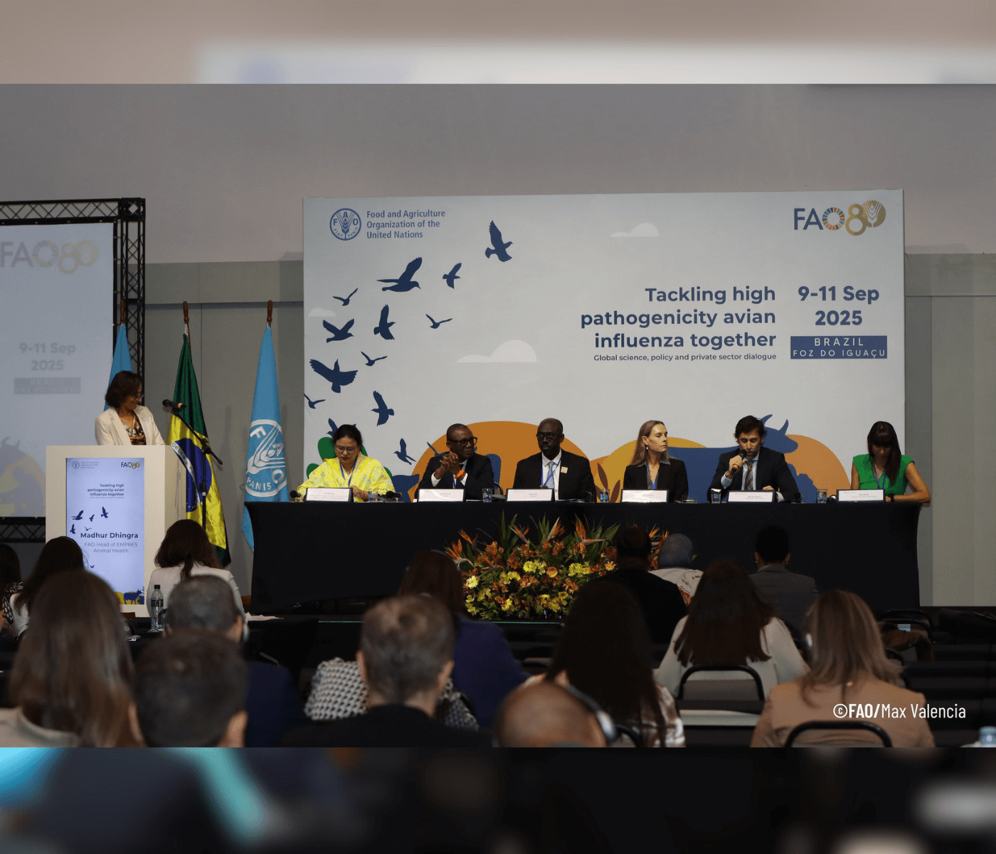 Sem integração entre setores, sistema global contra influenza aviária segue vulnerável