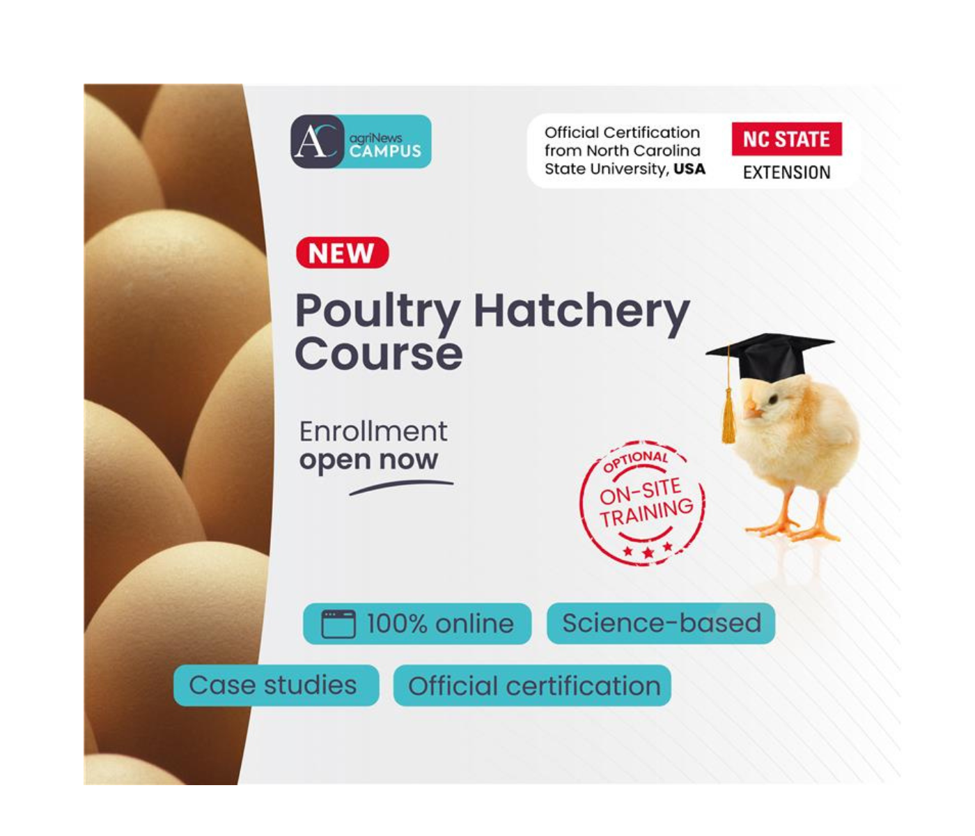 Poultry Hatchery Course: Training next generation of hatchery experts