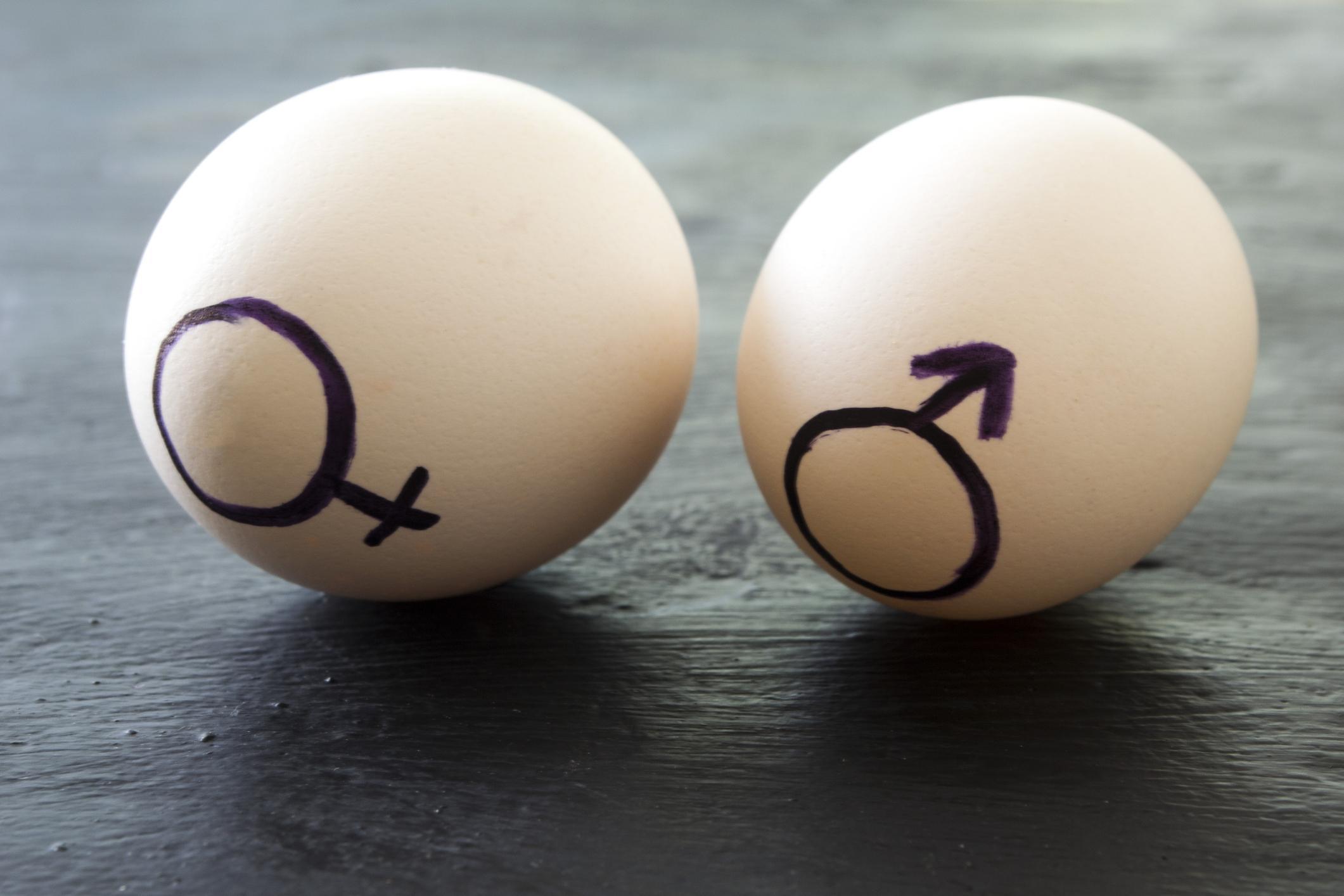 Australians ready to pay more for eggs made without male culling