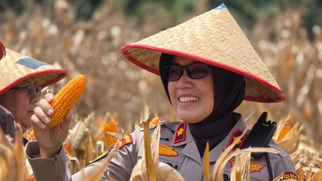 Polri gelar seremoni panen raya jagung serentak di Sumatera Selatan