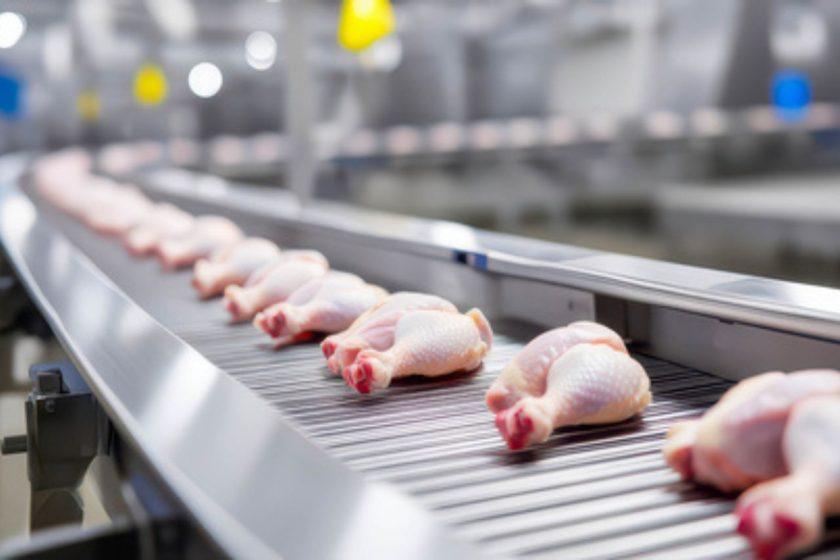 Retenciones Cero: Un Respiro Temporal en Argentina para Exportación de Carne Aviar y Vacuna