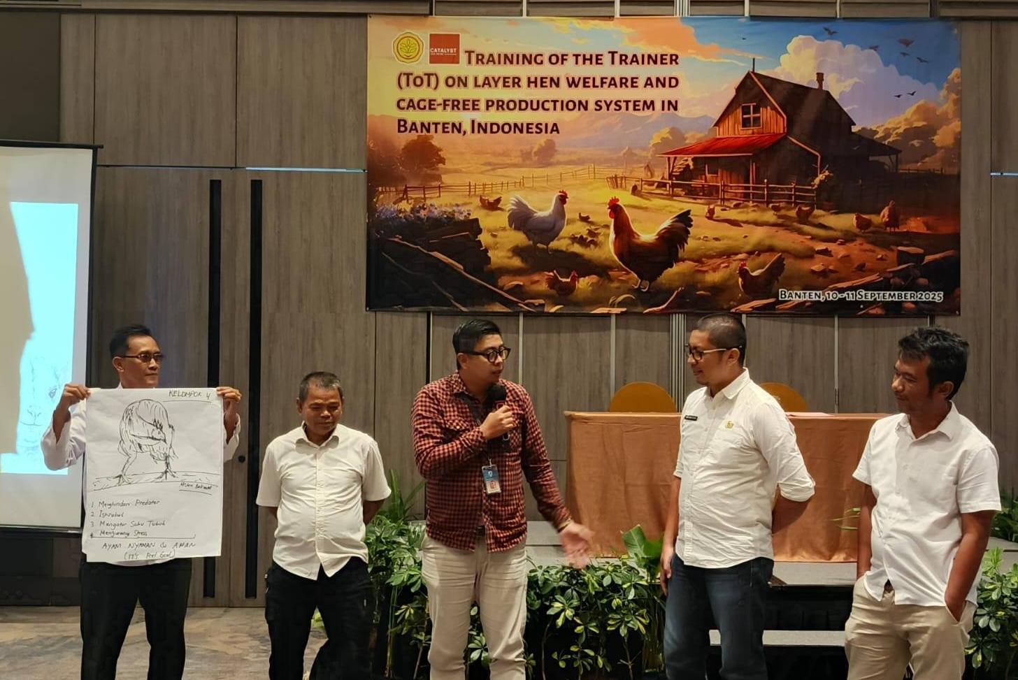 Kementan dan Catalyst latih peternak ayam petelur tentang sistem bebas sangkar