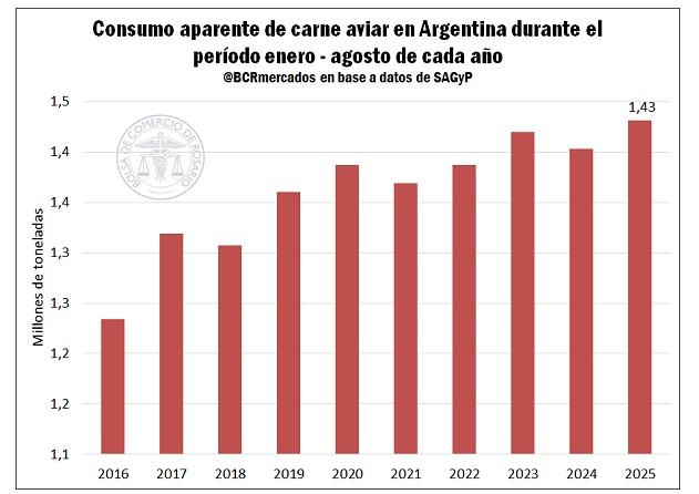 Carne Aviar Argentina 2025: Análisis Integral de Producción y Comercio Exterior