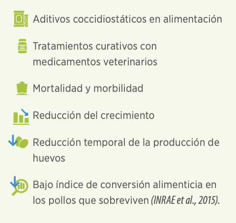 gestión del riesgo de coccidios