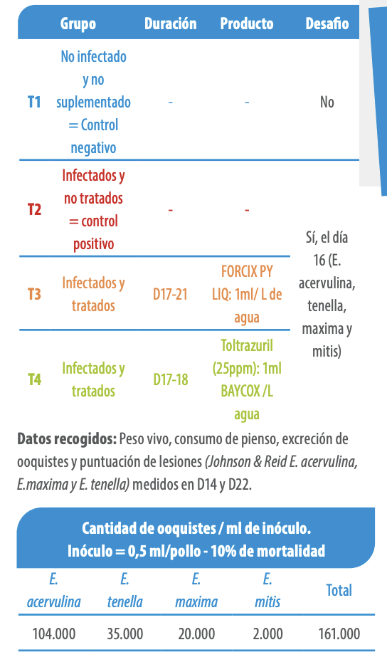 gestión del riesgo de coccidios