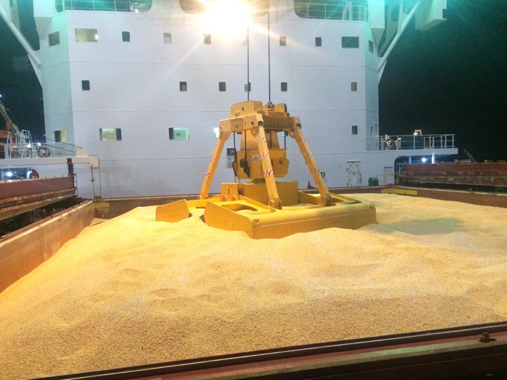South Korea secures 131,000 tons of corn for animal feed