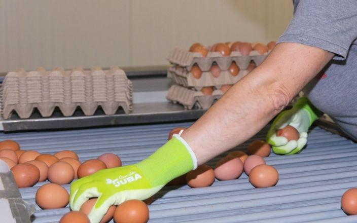 8 de cada 10 personas apuestan por el consumo de huevos de proximidad