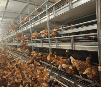Imagen Revista Bioseguridad: ¿qué hemos aprendido sobre bioexclusión y biocontención?