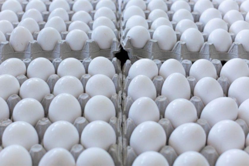 Crisis de producción de huevos en Cuba y su vínculo con las importaciones dominicanas