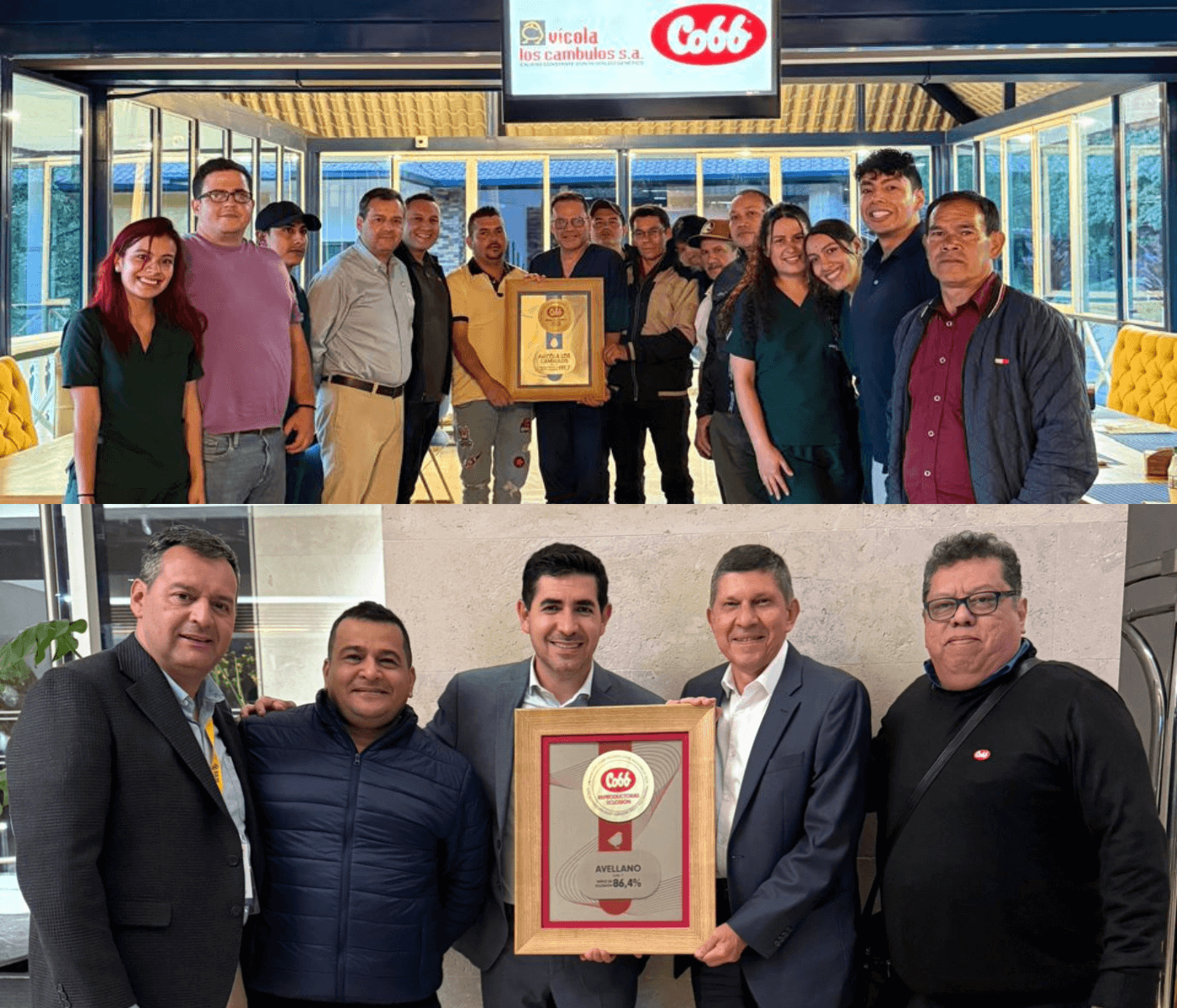 Avellano e Avícola Los Cambulos são reconhecidas em premiação Melhores...
