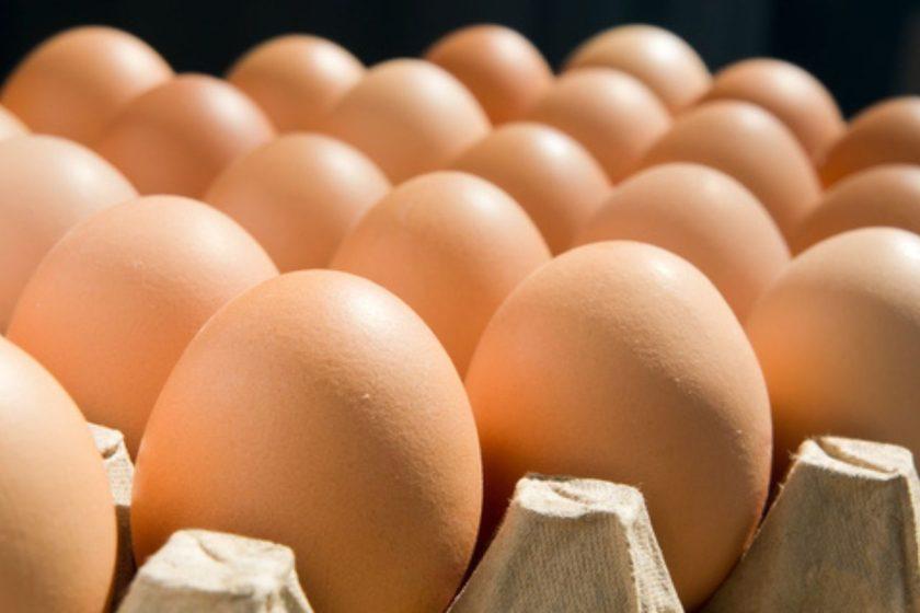 Colombia sector avícola exportaciones y consumo histórico de huevos