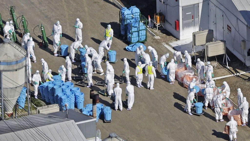 Japan confirms avian influenza outbreak in Hokkaido