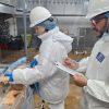 Avanza proceso de auditoría de calidad de la carne de ave en Uruguay
