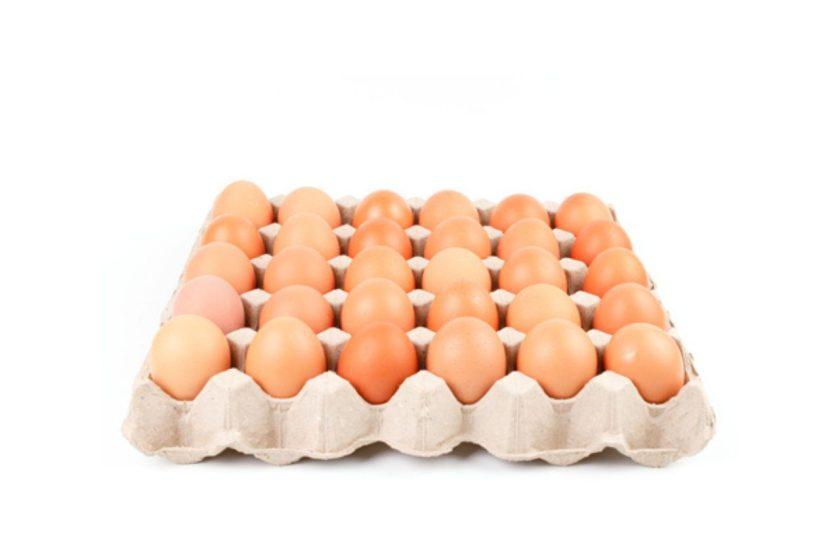 Paraguay: Producción y demanda de huevos en auge