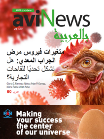 AviNews بالعربيّة مارس/آذار 2026
