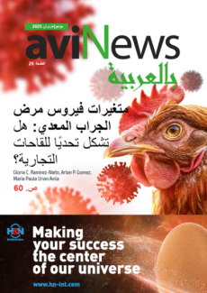 aviNews بالعربيّة يونيو|حزيران 2025 AviNews Arabic