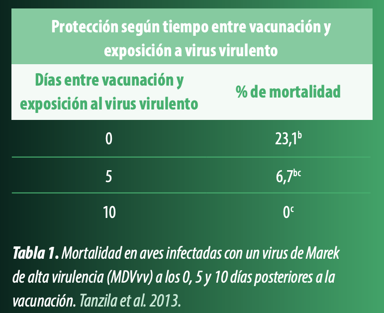vacuna PREVEXXION RN Marek