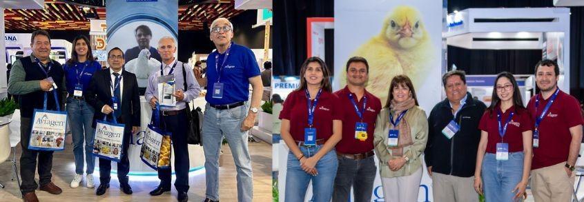 aviagen Perú