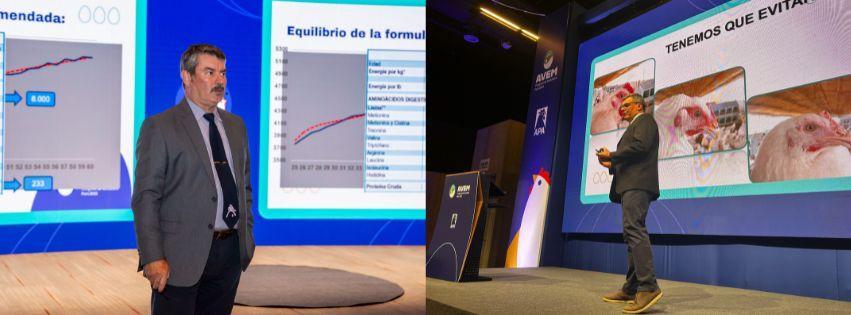 aviagen perú