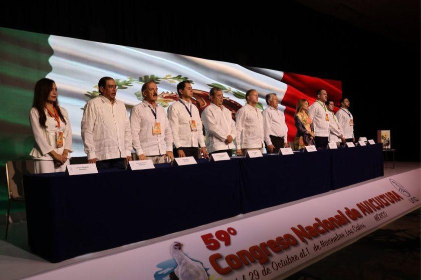 Avicultura mexicana consolida su liderazgo nacional e internacional