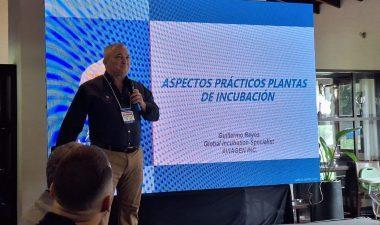 aviagen y globoaves