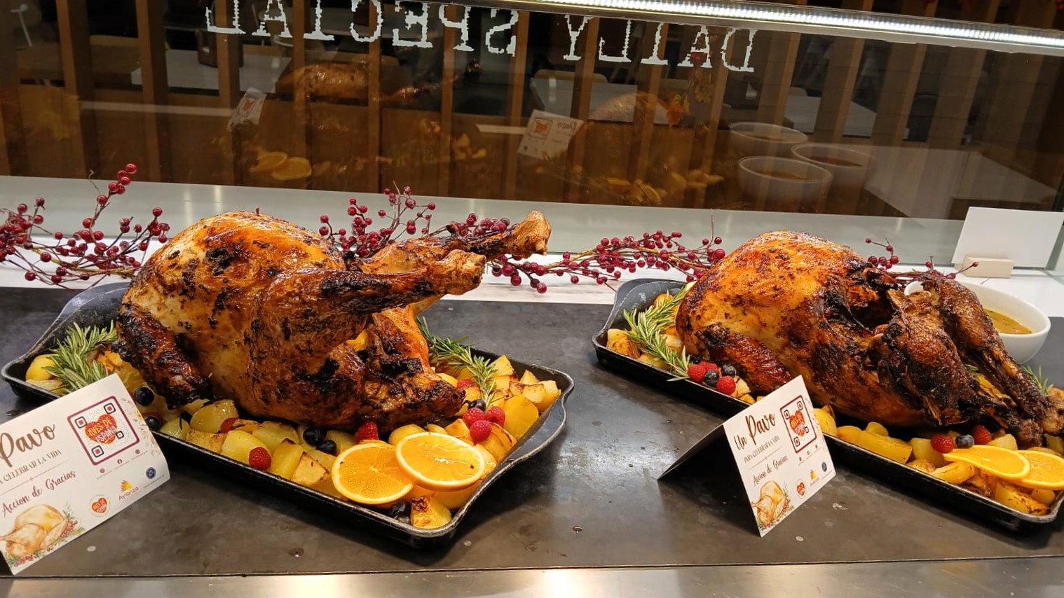 Avianza Aves España Thanksgiving