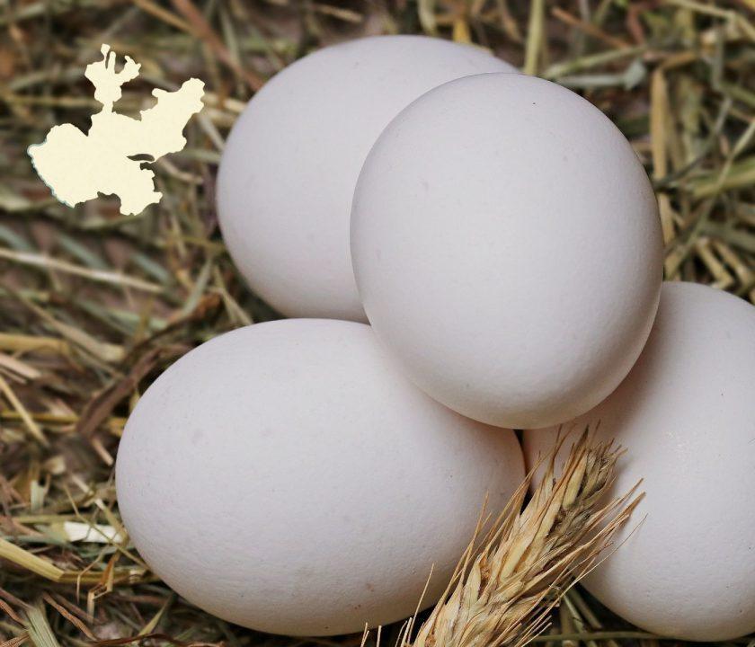 Huevos Jalisco México
