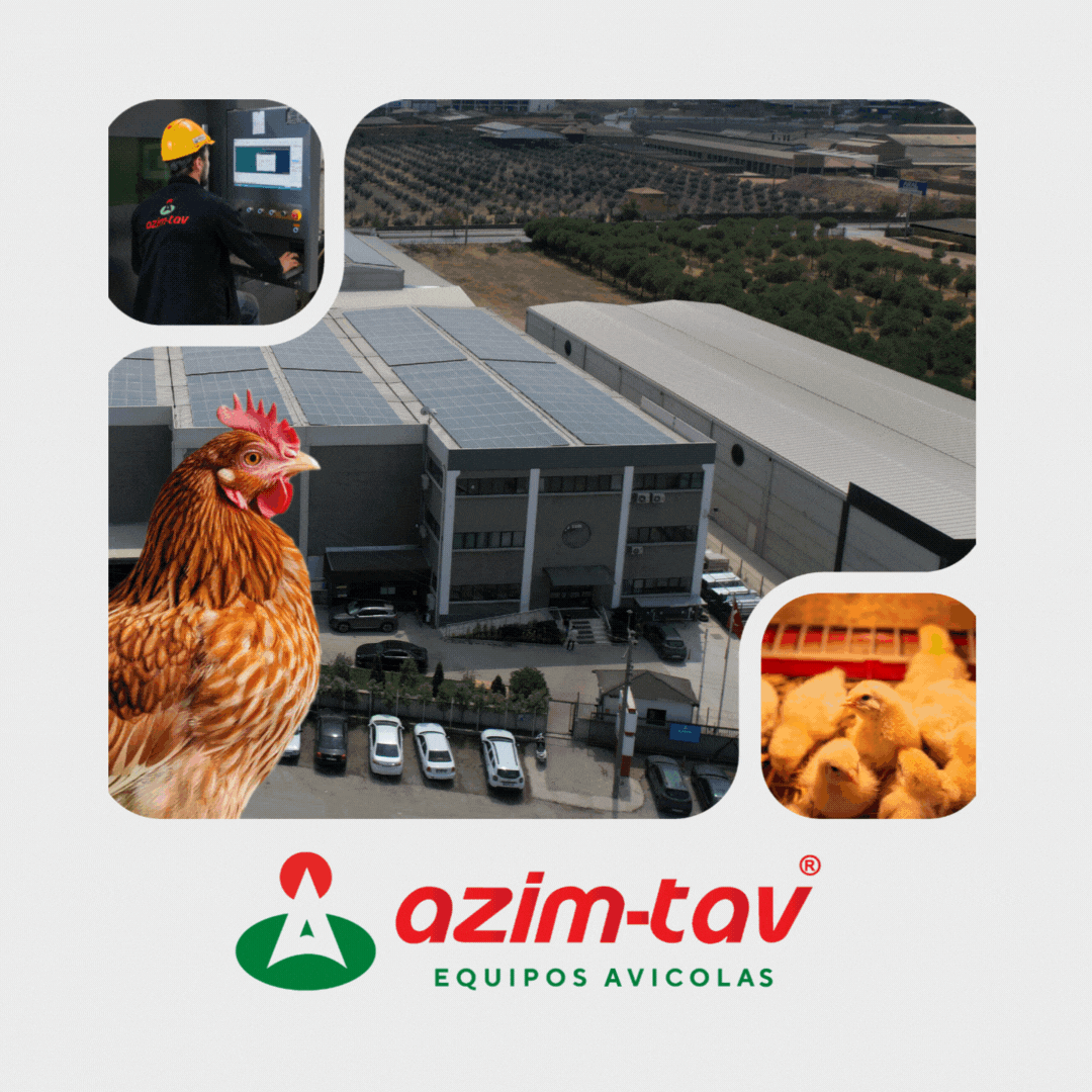 http://AZIM-TAV%20FINAL%20DE%20AÑO
