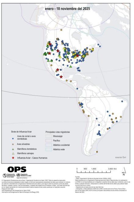 actualización influenza aviar H5N1 en las Américas